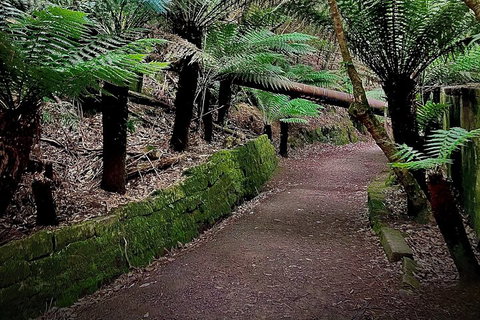 Kunanyi / Mt. Wellington Guided Hiking Tour - Find Attractions 1
