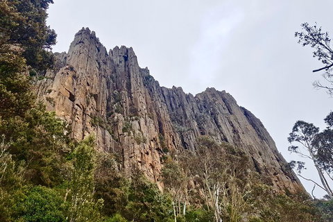 Kunanyi / Mt. Wellington Guided Hiking Tour - Find Attractions 4