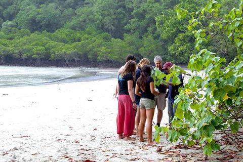 Full Day Daintree Rainforest And Mossman Gorge Tour - Find Attractions 2