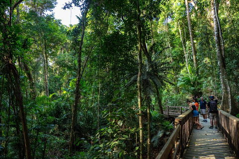 Full Day Daintree Rainforest And Mossman Gorge Tour - Find Attractions 5