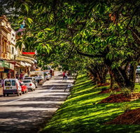 Fully Inclusive Blue Mountains Private Tour inc Scenic World  Featherdale entry - Find Attractions