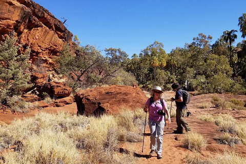 Palm Valley And Hermannsburg 1 Day 4WD Tour - Find Attractions 1