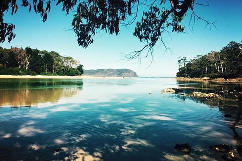 Full-Day Guided Bruny Island Tour From Hobart - Find Attractions 1