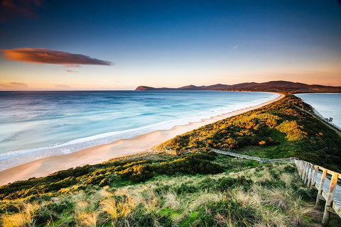 Full-Day Guided Bruny Island Tour From Hobart - Find Attractions 2