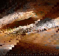 Windjana Explorer - Find Attractions