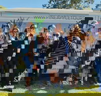 Full Day Mount Tamborine Winery Tour from Gold Coast - Find Attractions