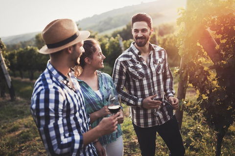 Full Day Mount Tamborine Winery Tour From Gold Coast - Find Attractions 5