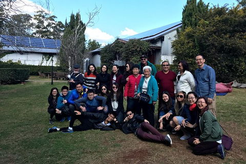 Full Day Mount Tamborine Winery Tour From Brisbane - Find Attractions 2