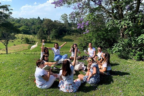 Full Day Mount Tamborine Winery Tour From Brisbane - Find Attractions 4