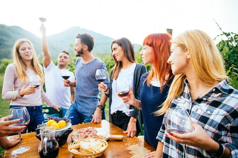 Full Day Mount Tamborine Winery Tour From Brisbane - Find Attractions 5