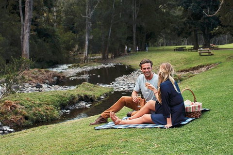 Mt Tamborine - Hinterland Wonders Self Guided - Find Attractions 0