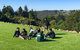 Mt Tamborine - Hinterland Wonders Self Guided - thumb 1