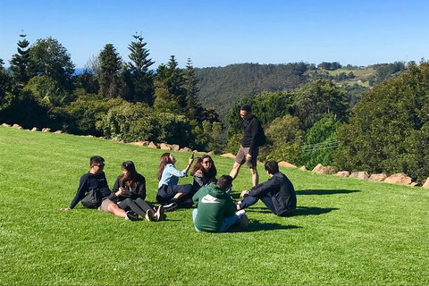Mt Tamborine - Hinterland Wonders Self Guided - Find Attractions 1