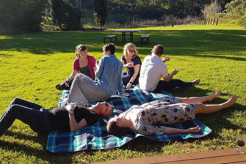 Mt Tamborine - Hinterland Wonders Self Guided - Find Attractions 2