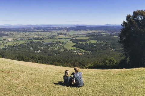 Mt Tamborine - Hinterland Wonders Self Guided - Find Attractions 4