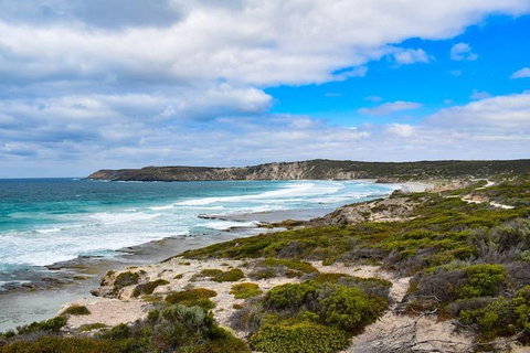 Kangaroo Island Luxury Small Group 'East End Explorer' Full Day Tour - Find Attractions 0