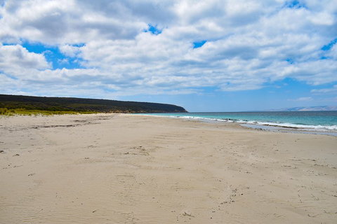 Kangaroo Island Luxury Small Group 'East End Explorer' Full Day Tour - Find Attractions 3