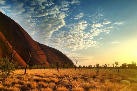 Highlights Of Uluru Including Sunrise And Breakfast - Find Attractions 0
