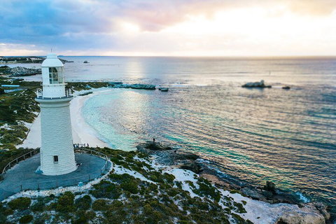 Discover Rottnest With Ferry & Bus Tour From Perth Or Fremantle - Find Attractions 2