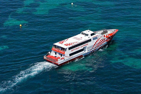 Discover Rottnest With Ferry & Bus Tour From Perth Or Fremantle - Find Attractions 3