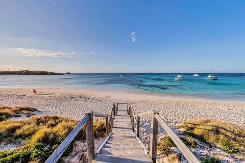 Discover Rottnest With Ferry & Bus Tour From Perth Or Fremantle - Find Attractions 4