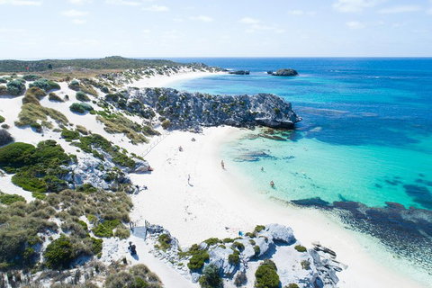 Discover Rottnest With Ferry & Bus Tour From Perth Or Fremantle - Find Attractions 5