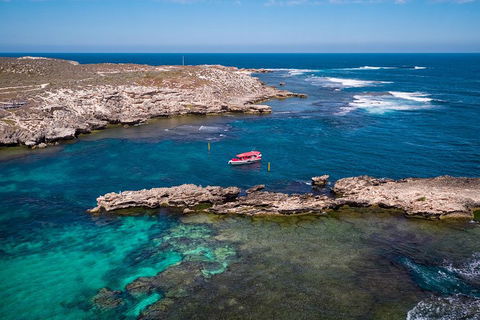 Adventure Rottnest Tour With Ferry & Adventure Cruise From Perth Or Fremantle - Find Attractions 3