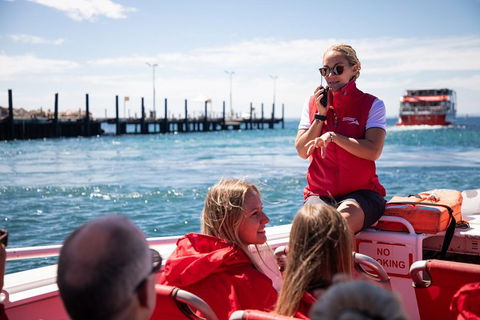Adventure Rottnest Tour With Ferry & Adventure Cruise From Perth Or Fremantle - Find Attractions 4