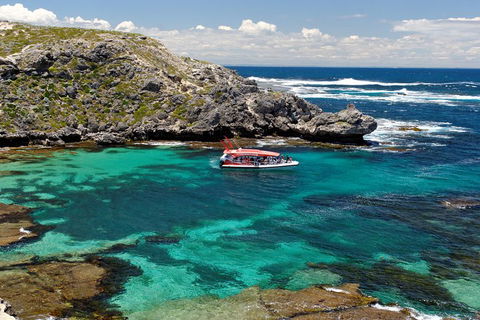 Adventure Rottnest Tour With Ferry & Adventure Cruise From Perth Or Fremantle - Find Attractions 5
