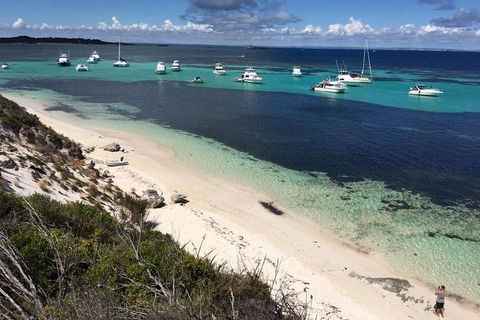 Experience Rottnest With Ferry & Bike Hire From Perth Or Fremantle - Find Attractions 0