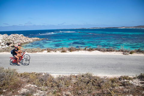 Experience Rottnest With Ferry & Bike Hire From Perth Or Fremantle - Find Attractions 2