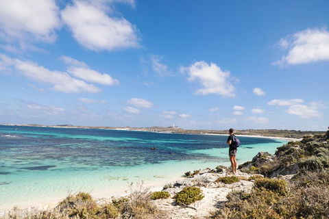 Experience Rottnest With Ferry & Bike Hire From Perth Or Fremantle - Find Attractions 3