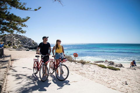 Experience Rottnest With Ferry & Bike Hire From Perth Or Fremantle - Find Attractions 4