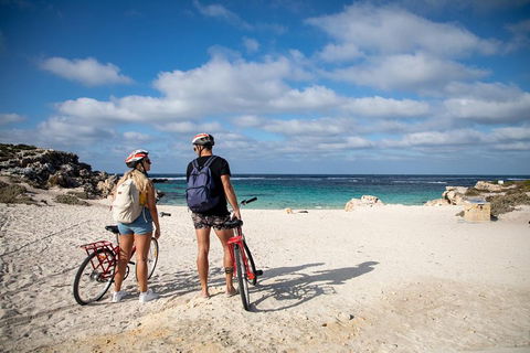 Experience Rottnest With Ferry & Bike Hire From Perth Or Fremantle - Find Attractions 5