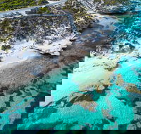 Rottnest Island Round-Trip Ferry from Perth or Fremantle - Find Attractions