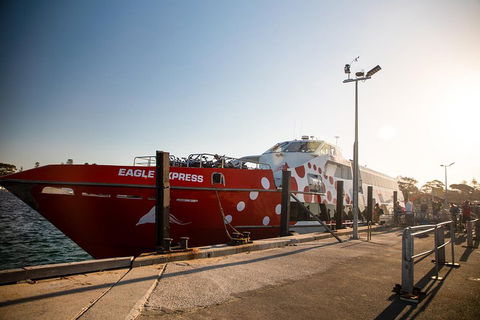 Rottnest Island Round-Trip Ferry From Perth Or Fremantle - Find Attractions 2