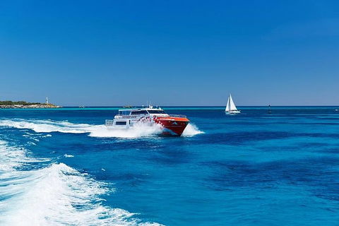 Rottnest Island Round-Trip Ferry From Perth Or Fremantle - Find Attractions 4