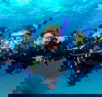 Great Barrier Reef Diving and Snorkeling Cruise from Cairns - Find Attractions
