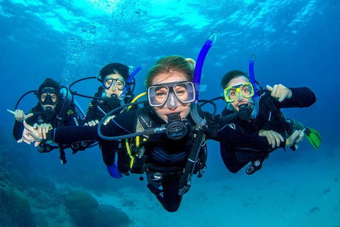 Great Barrier Reef Diving And Snorkeling Cruise From Cairns - Find Attractions 0