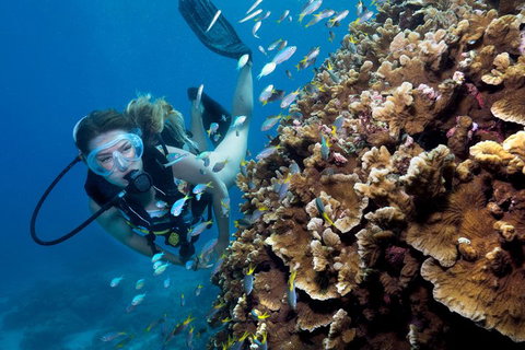 Great Barrier Reef Diving And Snorkeling Cruise From Cairns - Find Attractions 1