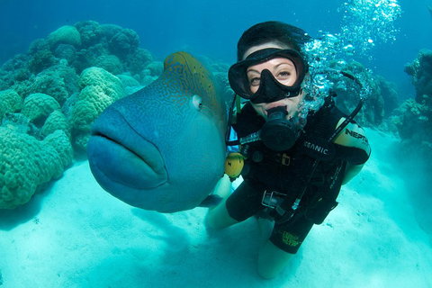 Great Barrier Reef Diving And Snorkeling Cruise From Cairns - Find Attractions 2