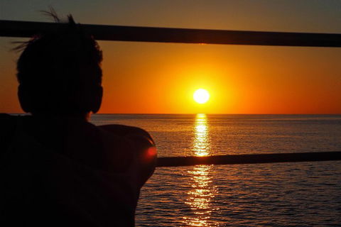 Roebuck Bay Snubfin Dolphin Cruise - Find Attractions 4