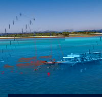 Ocean Free Green Island  Great Barrier Reef Snorkel Cruise Cairns 25 guests - Find Attractions