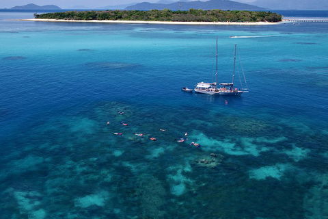 Ocean Free Green Island & Great Barrier Reef Snorkel Cruise, Cairns 25 Guests - Find Attractions 2