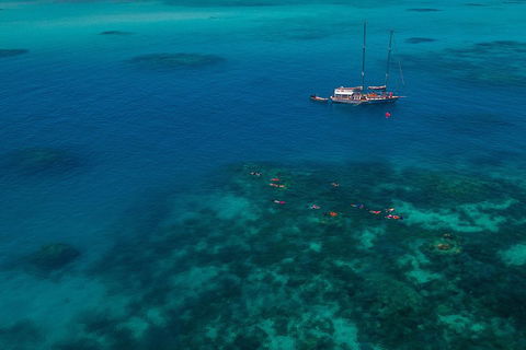 Ocean Free Green Island & Great Barrier Reef Snorkel Cruise, Cairns 25 Guests - Find Attractions 5