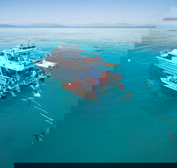 Ocean Freedom Great Barrier Reef Personal Luxury Snorkel  Dive Cruise Cairns - Find Attractions