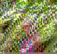 5 Day Australia Retreat Queensland Daintree - Find Attractions