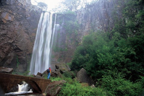 Brisbane Day In The Country Full-Day Small-Group Tour With Lunch - Find Attractions 3