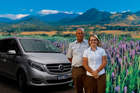 Brisbane Day In The Country Full-Day Small-Group Tour With Lunch - Find Attractions 4