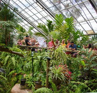 Australian Butterfly Sanctuary - Find Attractions